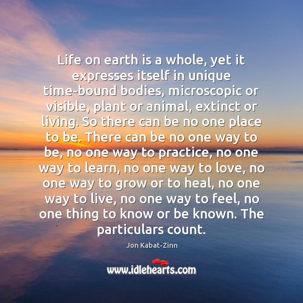 Life on earth is a whole, yet it expresses itself in unique Jon Kabat-Zinn Picture Quote