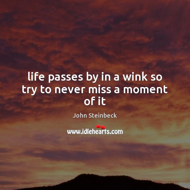 Life passes by in a wink so try to never miss a moment of it Image