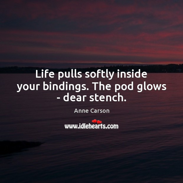 Life pulls softly inside your bindings. The pod glows – dear stench. 