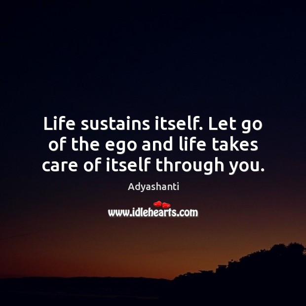 Life sustains itself. Let go of the ego and life takes care of itself through you. Adyashanti Picture Quote