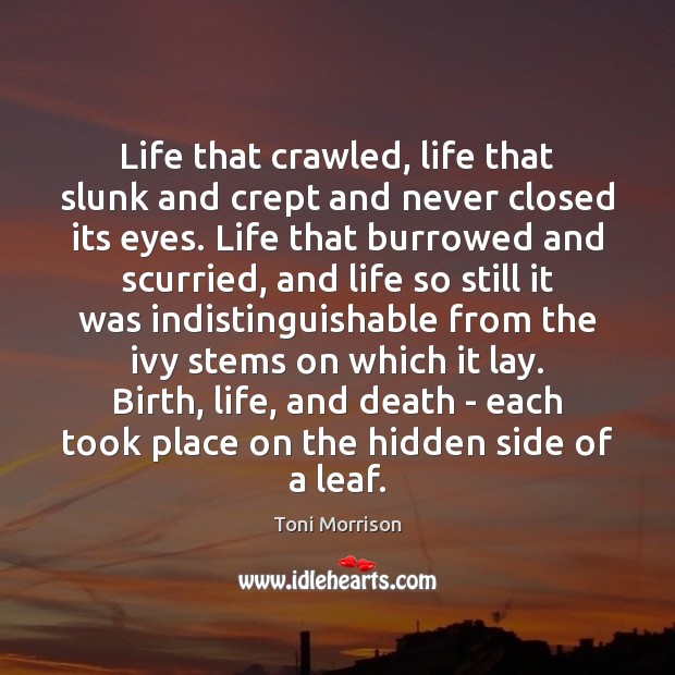 Life that crawled, life that slunk and crept and never closed its Toni Morrison Picture Quote