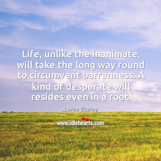 Life, unlike the inanimate, will take the long way round to circumvent Loren Eiseley Picture Quote