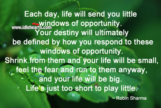 Every day, life will send you little windows of opportunity. Opportunity Quotes Image