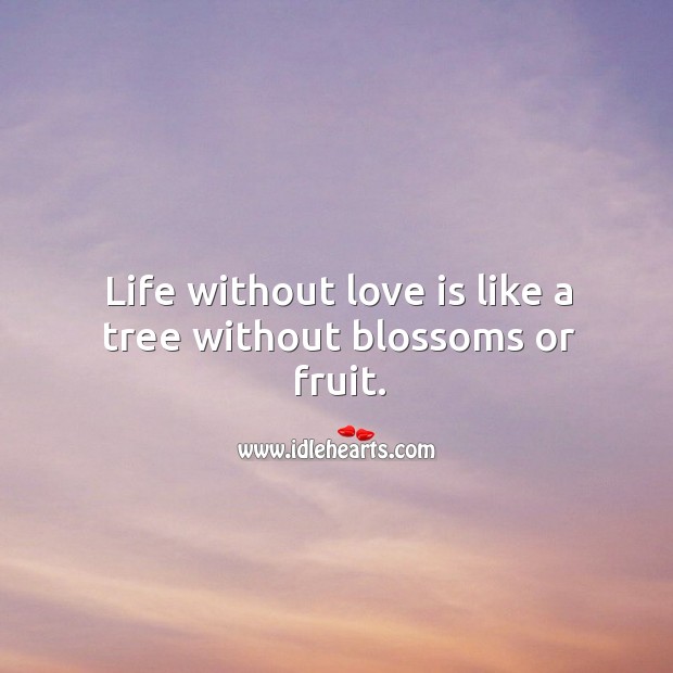 Life without love is like a tree without blossoms or fruit. Image