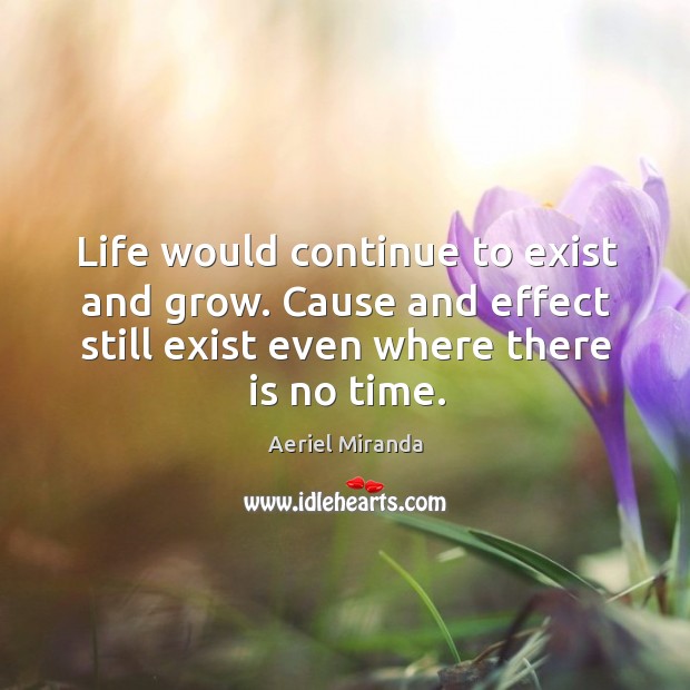 Life would continue to exist and grow. Cause and effect still exist Aeriel Miranda Picture Quote
