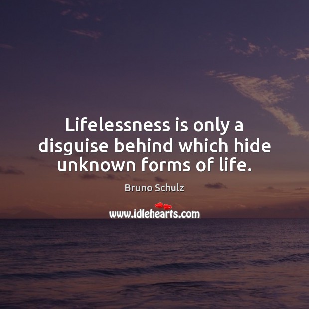 Lifelessness is only a disguise behind which hide unknown forms of life. Bruno Schulz Picture Quote