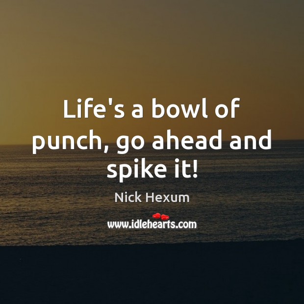 Life’s a bowl of punch, go ahead and spike it! Nick Hexum Picture Quote