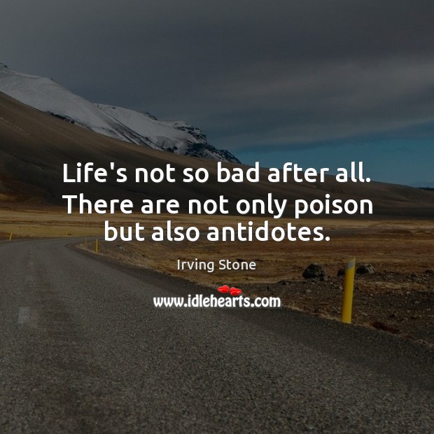 Life’s not so bad after all. There are not only poison but also antidotes. Irving Stone Picture Quote