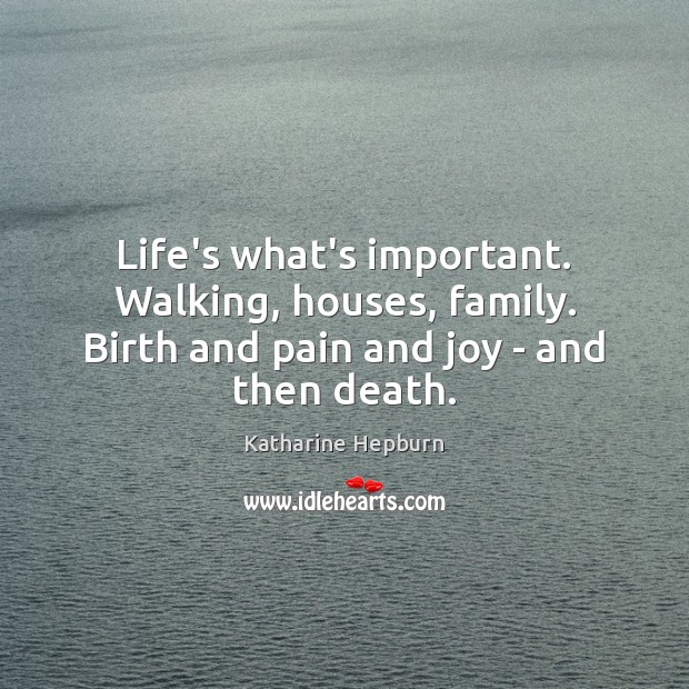 Life’s what’s important. Walking, houses, family. Birth and pain and joy – and then death. Katharine Hepburn Picture Quote