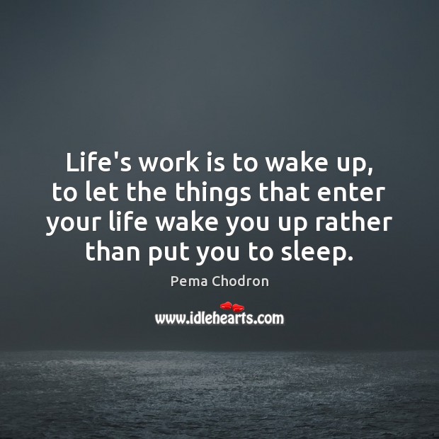 Life’s work is to wake up, to let the things that enter Pema Chodron Picture Quote