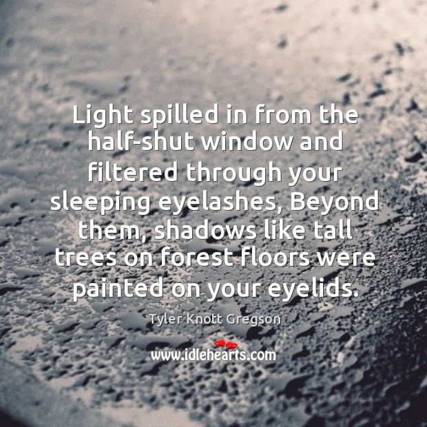 Light spilled in from the half-shut window and filtered through your sleeping eyelashes Image