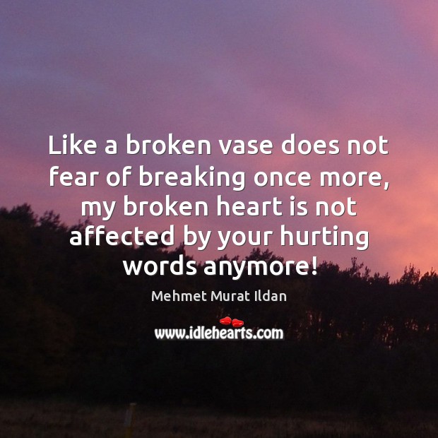 Like a broken vase does not fear of breaking once more, my Broken Heart Quotes Image