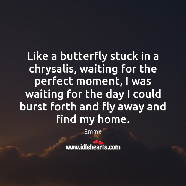 Like a butterfly stuck in a chrysalis, waiting for the perfect moment, 