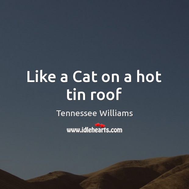 Like a Cat on a hot tin roof Tennessee Williams Picture Quote