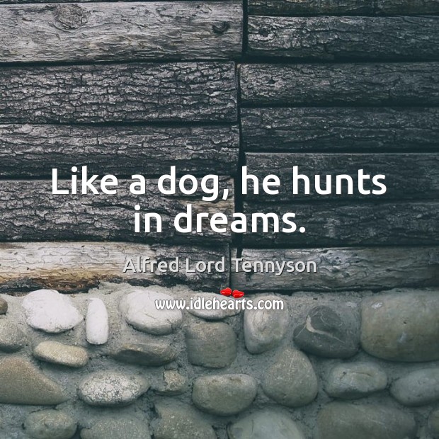 Like a dog, he hunts in dreams. Alfred Lord Tennyson Picture Quote