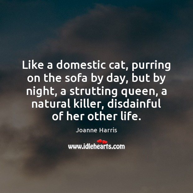 Like a domestic cat, purring on the sofa by day, but by Joanne Harris Picture Quote