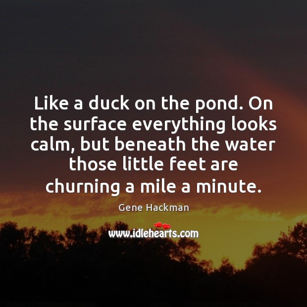 Like a duck on the pond. On the surface everything looks calm, Gene Hackman Picture Quote