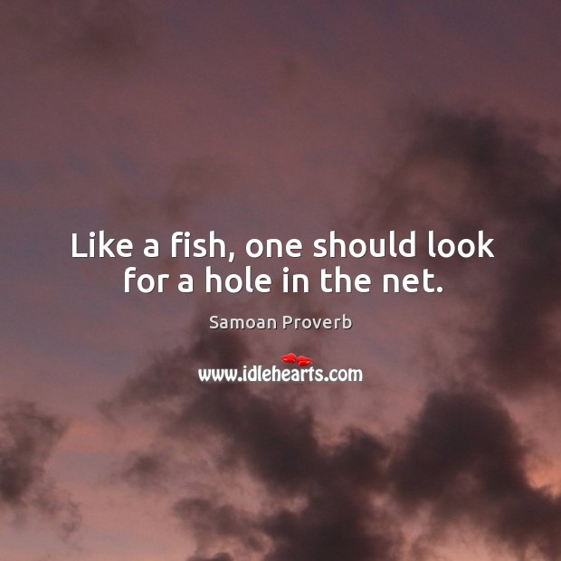 Like a fish, one should look for a hole in the net. Samoan Proverbs Image