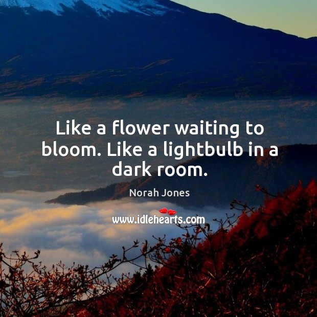 Like a flower waiting to bloom. Like a lightbulb in a dark room. Flowers Quotes Image