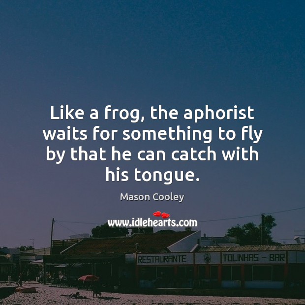Like a frog, the aphorist waits for something to fly by that he can catch with his tongue. Mason Cooley Picture Quote