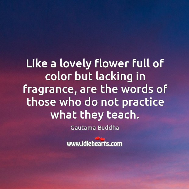 Like a lovely flower full of color but lacking in fragrance, are Gautama Buddha Picture Quote