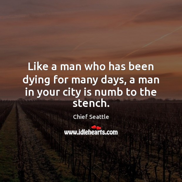 Like a man who has been dying for many days, a man in your city is numb to the stench. Image