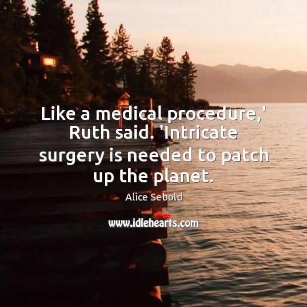 Like a medical procedure,’ Ruth said. ‘Intricate surgery is needed to patch up the planet. Image