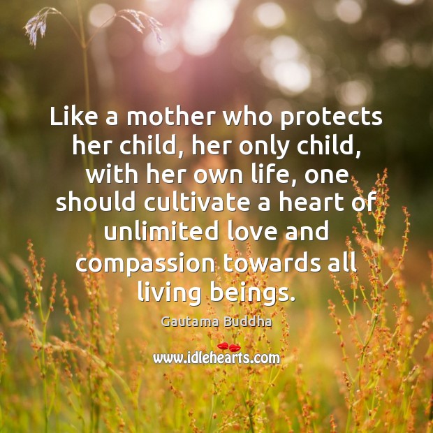 Like a mother who protects her child, her only child, with her Gautama Buddha Picture Quote