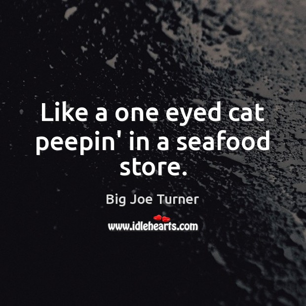 Like a one eyed cat peepin’ in a seafood store. 