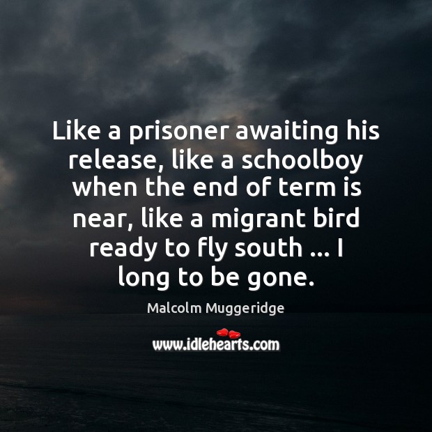 Like a prisoner awaiting his release, like a schoolboy when the end Malcolm Muggeridge Picture Quote