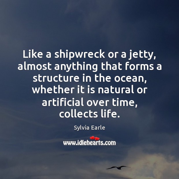 Like a shipwreck or a jetty, almost anything that forms a structure Sylvia Earle Picture Quote