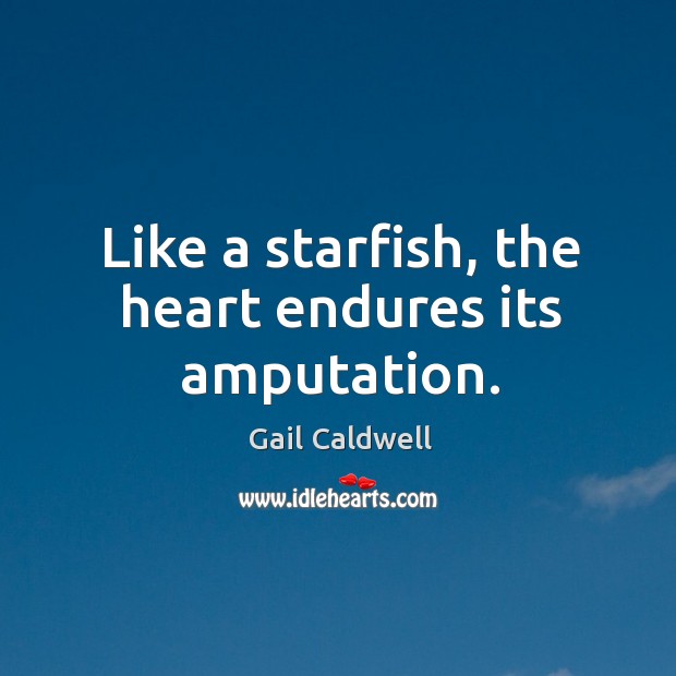 Like a starfish, the heart endures its amputation. Gail Caldwell Picture Quote