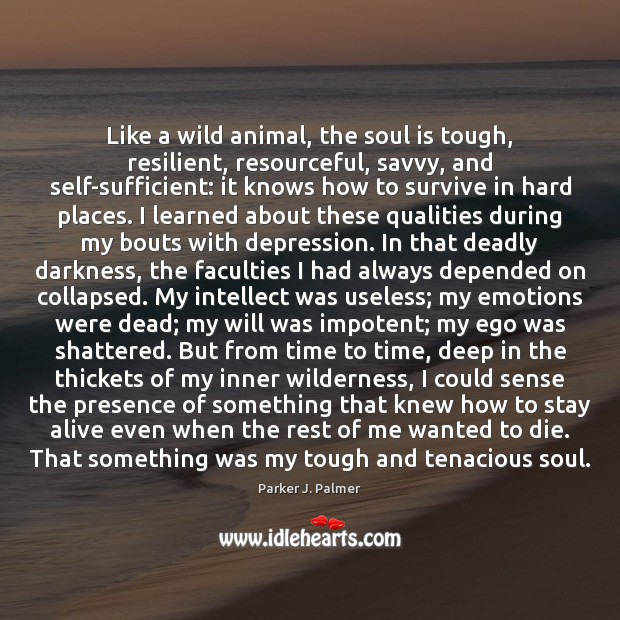 Like a wild animal, the soul is tough, resilient, resourceful, savvy, and Parker J. Palmer Picture Quote