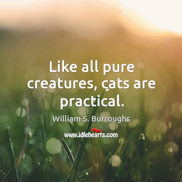 Like all pure creatures, cats are practical. William S. Burroughs Picture Quote