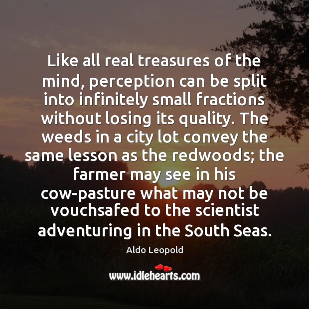 Like all real treasures of the mind, perception can be split into Aldo Leopold Picture Quote