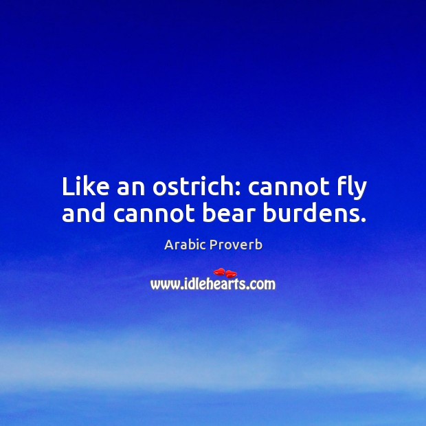 Like an ostrich: cannot fly and cannot bear burdens. Arabic Proverbs Image