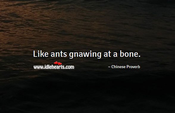 Like ants gnawing at a bone. Image