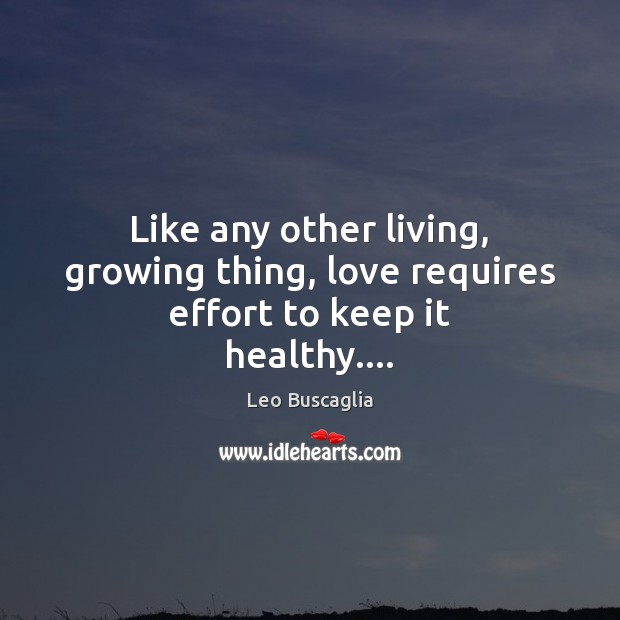 Like any other living, growing thing, love requires effort to keep it healthy…. Leo Buscaglia Picture Quote
