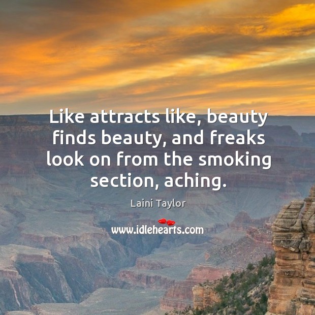Like attracts like, beauty finds beauty, and freaks look on from the Laini Taylor Picture Quote