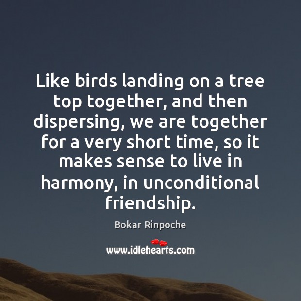 Like birds landing on a tree top together, and then dispersing, we Bokar Rinpoche Picture Quote