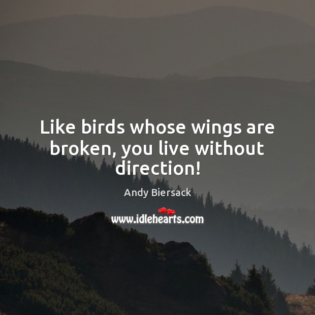 Like birds whose wings are broken, you live without direction! Andy Biersack Picture Quote
