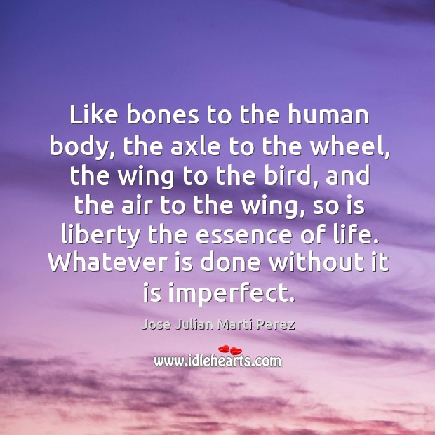 Like bones to the human body, the axle to the wheel, the wing to the bird, and the air Jose Julian Marti Perez Picture Quote
