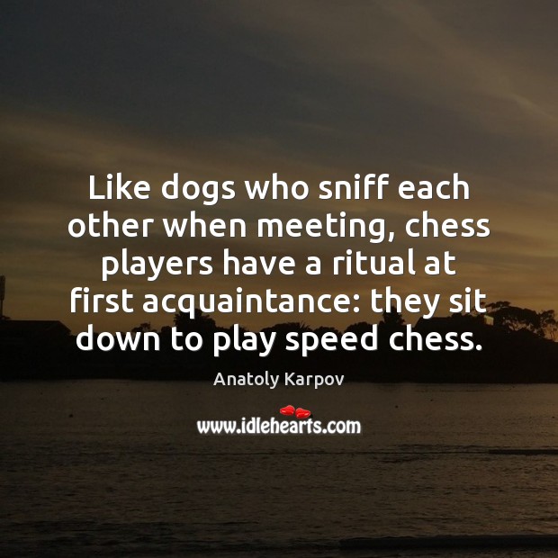 Like dogs who sniff each other when meeting, chess players have a Anatoly Karpov Picture Quote
