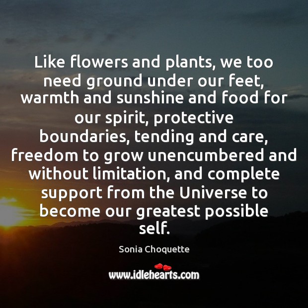 Like flowers and plants, we too need ground under our feet, warmth Image