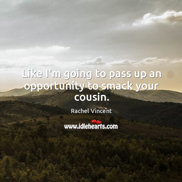 Like I’m going to pass up an opportunity to smack your cousin. Rachel Vincent Picture Quote