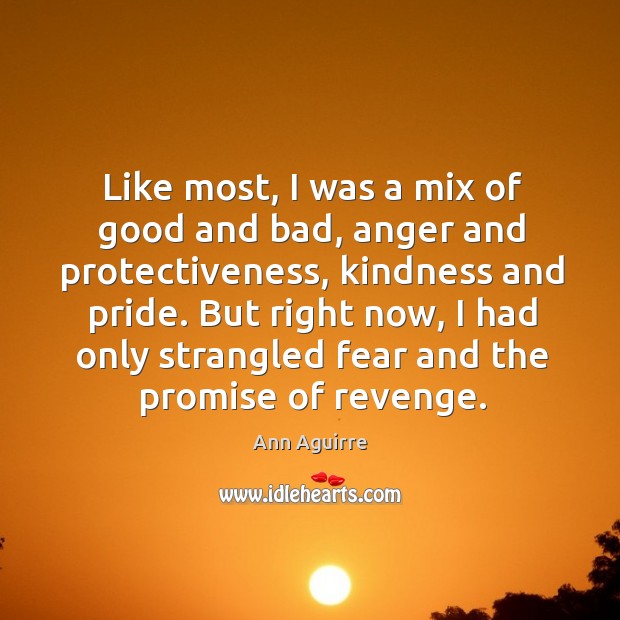 Like most, I was a mix of good and bad, anger and Ann Aguirre Picture Quote