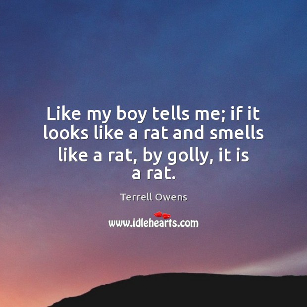 Like my boy tells me; if it looks like a rat and smells like a rat, by golly, it is a rat. Terrell Owens Picture Quote