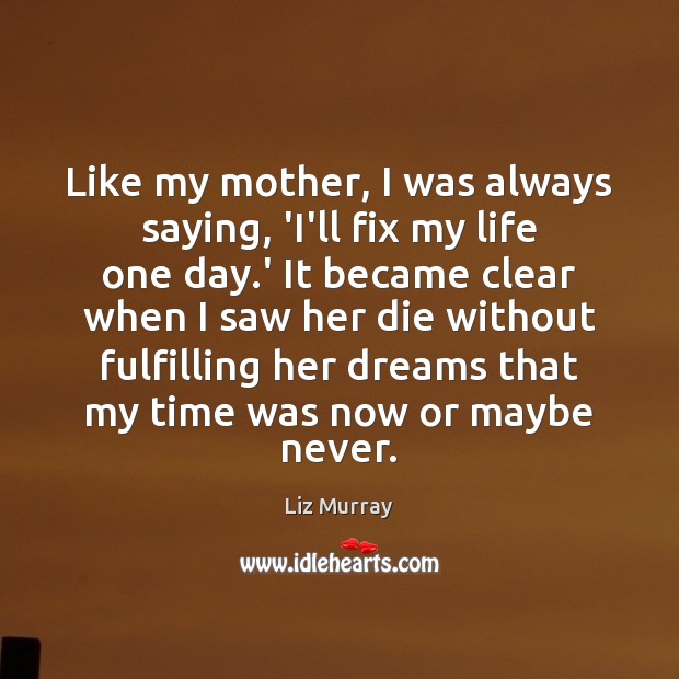 Like my mother, I was always saying, ‘I’ll fix my life one Liz Murray Picture Quote