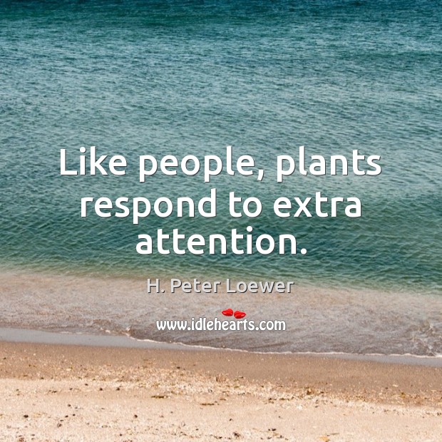 Like people, plants respond to extra attention. H. Peter Loewer Picture Quote