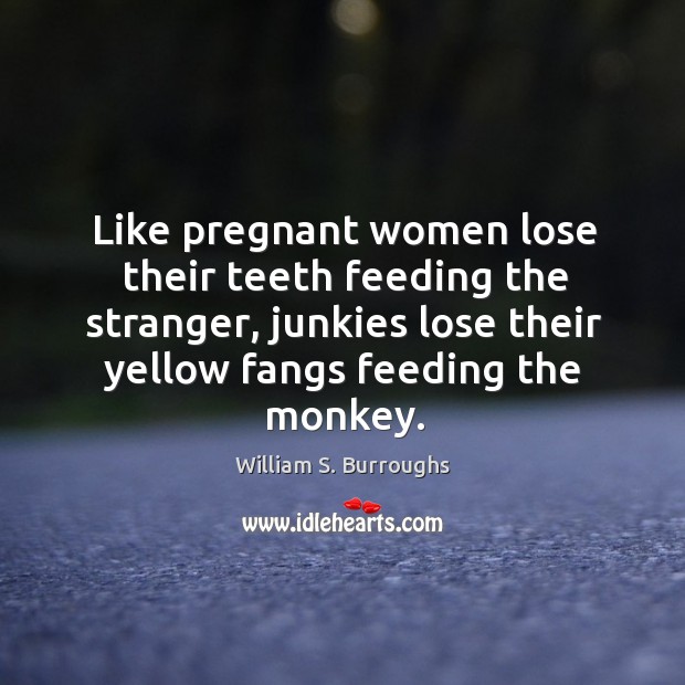 Like pregnant women lose their teeth feeding the stranger, junkies lose their William S. Burroughs Picture Quote